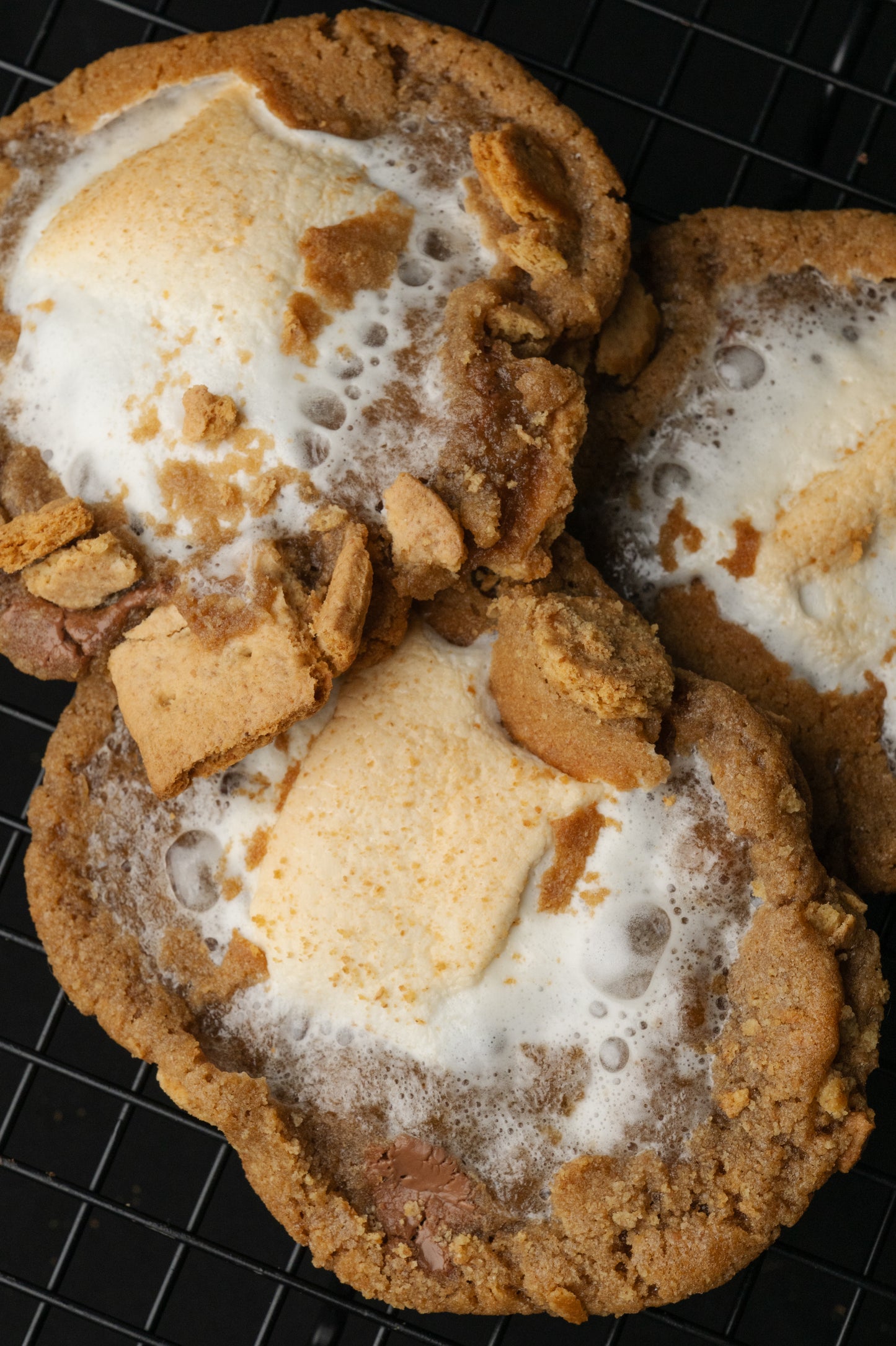 S’mores – Gourmet Frozen Cookie Dough